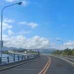 Libanan urges stronger inter-agency coordination amid San Juanico Bridge disruptions